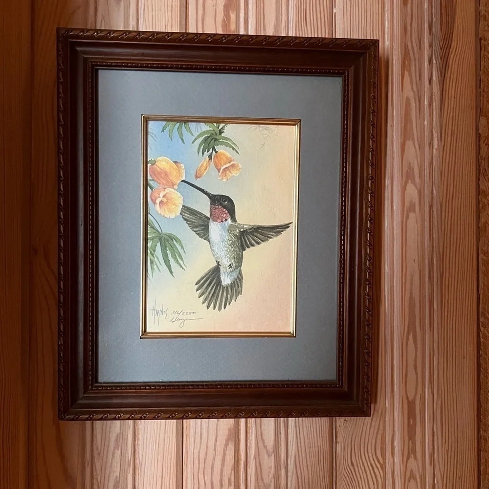 Hummingbird Watercolor by Haynes Framed